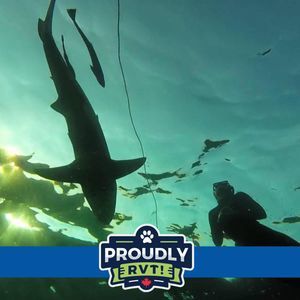 Meet your Posher, Kayleigh